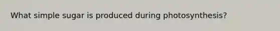 What simple sugar is produced during photosynthesis?