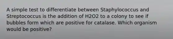 A simple test to differentiate between Staphylococcus and Streptococcus is the addition of H2O2 to a colony to see if bubbles form which are positive for catalase. Which organism would be positive?