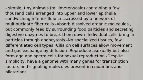 - simple, tiny animals (millimeter-scale) containing a few thousand cells arranged into upper and lower epithelia sandwiching interior fluid crisscrossed by a network of multinucleate fiber cells -Absorb dissolved organic molecules , but commonly feed by surrounding food particles and secreting digestive enzymes to break them down -Individual cells bring in particles through endocytosis -No specialized tissues, few differentiated cell types -Cilia on cell surfaces allow movement and gas exchange by diffusion -Reproduce asexually but also form egg and sperm cells for sexual reproduction -Despite simplicity, have a genome with many genes for transcription factors and signaling molecules present in cnidarians and bilaterians