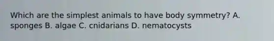 Which are the simplest animals to have body symmetry? A. sponges B. algae C. cnidarians D. nematocysts