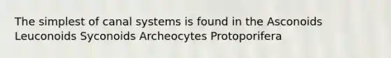 The simplest of canal systems is found in the Asconoids Leuconoids Syconoids Archeocytes Protoporifera