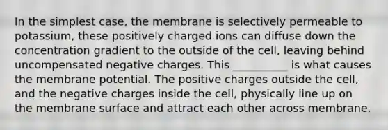 In the simplest case, the membrane is selectively permeable to potassium, these positively charged ions can diffuse down the concentration gradient to the outside of the cell, leaving behind uncompensated negative charges. This __________ is what causes the membrane potential. The positive charges outside the cell, and the negative charges inside the cell, physically line up on the membrane surface and attract each other across membrane.