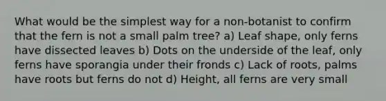 What would be the simplest way for a non-botanist to confirm that the fern is not a small palm tree? a) Leaf shape, only ferns have dissected leaves b) Dots on the underside of the leaf, only ferns have sporangia under their fronds c) Lack of roots, palms have roots but ferns do not d) Height, all ferns are very small