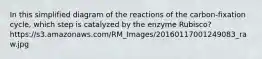 In this simplified diagram of the reactions of the carbon-fixation cycle, which step is catalyzed by the enzyme Rubisco? https://s3.amazonaws.com/RM_Images/20160117001249083_raw.jpg