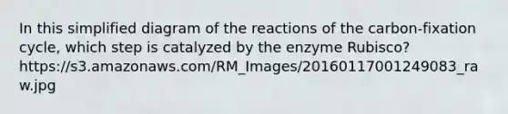 In this simplified diagram of the reactions of the carbon-fixation cycle, which step is catalyzed by the enzyme Rubisco? https://s3.amazonaws.com/RM_Images/20160117001249083_raw.jpg