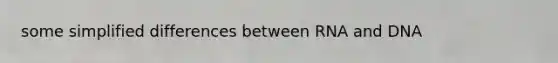 some simplified differences between RNA and DNA