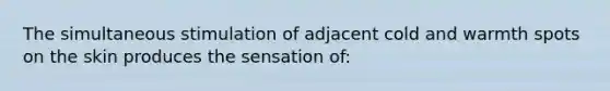 The simultaneous stimulation of adjacent cold and warmth spots on the skin produces the sensation of: