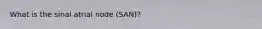 What is the sinal atrial node (SAN)?