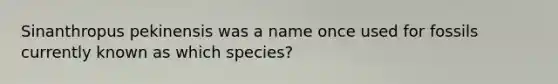 Sinanthropus pekinensis was a name once used for fossils currently known as which species?