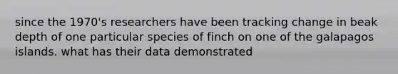 since the 1970's researchers have been tracking change in beak depth of one particular species of finch on one of the galapagos islands. what has their data demonstrated