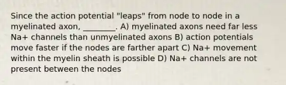 Since the action potential "leaps" from node to node in a myelinated axon, ________. A) myelinated axons need far less Na+ channels than unmyelinated axons B) action potentials move faster if the nodes are farther apart C) Na+ movement within the myelin sheath is possible D) Na+ channels are not present between the nodes