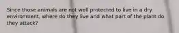 Since those animals are not well protected to live in a dry environment, where do they live and what part of the plant do they attack?