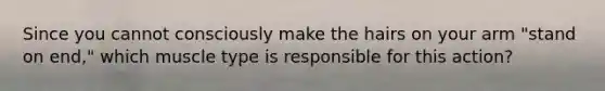 Since you cannot consciously make the hairs on your arm "stand on end," which muscle type is responsible for this action?