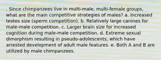 . Since chimpanzees live in multi-male, multi-female groups, what are the main competitive strategies of males? a. Increased testes size (sperm competition). b. Relatively large canines for male-male competition. c. Larger brain size for increased cognition during male-male competition. d. Extreme sexual dimorphism resulting in pseudo-adolescents, which have arrested development of adult male features. e. Both A and B are utilized by male chimpanzees.