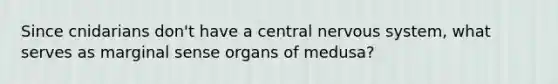 Since cnidarians don't have a central nervous system, what serves as marginal sense organs of medusa?