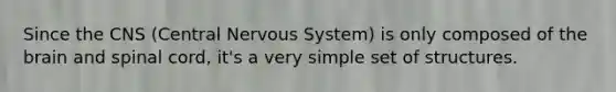 Since the CNS (Central Nervous System) is only composed of the brain and spinal cord, it's a very simple set of structures.