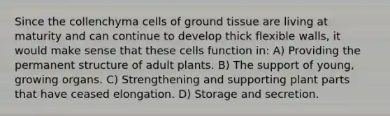 Since the collenchyma cells of ground tissue are living at maturity and can continue to develop thick flexible walls, it would make sense that these cells function in: A) Providing the permanent structure of adult plants. B) The support of young, growing organs. C) Strengthening and supporting plant parts that have ceased elongation. D) Storage and secretion.