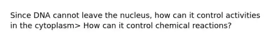 Since DNA cannot leave the nucleus, how can it control activities in the cytoplasm> How can it control chemical reactions?