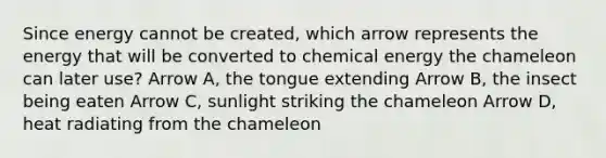 Since energy cannot be created, which arrow represents the energy that will be converted to chemical energy the chameleon can later use? Arrow A, the tongue extending Arrow B, the insect being eaten Arrow C, sunlight striking the chameleon Arrow D, heat radiating from the chameleon