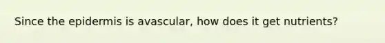 Since the epidermis is avascular, how does it get nutrients?