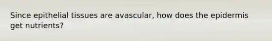 Since epithelial tissues are avascular, how does the epidermis get nutrients?