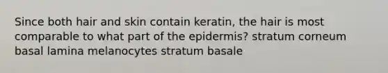 Since both hair and skin contain keratin, the hair is most comparable to what part of the epidermis? stratum corneum basal lamina melanocytes stratum basale