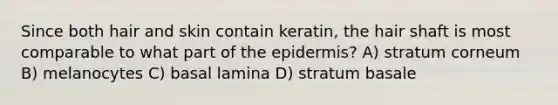 Since both hair and skin contain keratin, the hair shaft is most comparable to what part of the epidermis? A) stratum corneum B) melanocytes C) basal lamina D) stratum basale