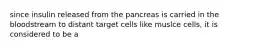 since insulin released from the pancreas is carried in the bloodstream to distant target cells like muslce cells, it is considered to be a