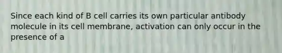 Since each kind of B cell carries its own particular antibody molecule in its cell membrane, activation can only occur in the presence of a