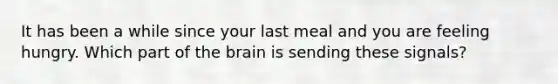 It has been a while since your last meal and you are feeling hungry. Which part of the brain is sending these signals?