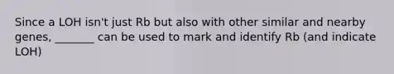 Since a LOH isn't just Rb but also with other similar and nearby genes, _______ can be used to mark and identify Rb (and indicate LOH)