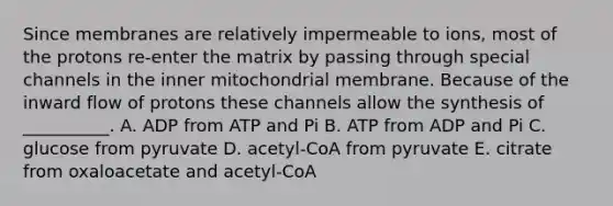 Since membranes are relatively impermeable to ions, most of the protons re-enter the matrix by passing through special channels in the inner mitochondrial membrane. Because of the inward flow of protons these channels allow the synthesis of __________. A. ADP from ATP and Pi B. ATP from ADP and Pi C. glucose from pyruvate D. acetyl-CoA from pyruvate E. citrate from oxaloacetate and acetyl-CoA