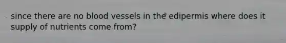 since there are no blood vessels in the edipermis where does it supply of nutrients come from?