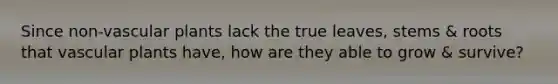 Since non-vascular plants lack the true leaves, stems & roots that vascular plants have, how are they able to grow & survive?