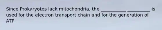 Since Prokaryotes lack mitochondria, the ___________ __________ is used for the electron transport chain and for the generation of ATP