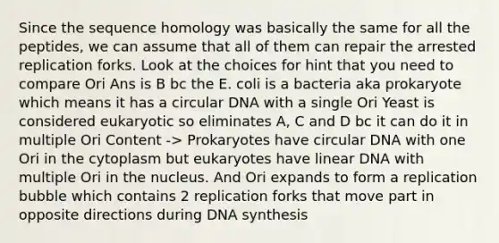 Since the sequence homology was basically the same for all the peptides, we can assume that all of them can repair the arrested replication forks. Look at the choices for hint that you need to compare Ori Ans is B bc the E. coli is a bacteria aka prokaryote which means it has a circular DNA with a single Ori Yeast is considered eukaryotic so eliminates A, C and D bc it can do it in multiple Ori Content -> Prokaryotes have circular DNA with one Ori in the cytoplasm but eukaryotes have linear DNA with multiple Ori in the nucleus. And Ori expands to form a replication bubble which contains 2 replication forks that move part in opposite directions during DNA synthesis