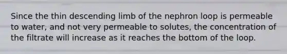 Since the thin descending limb of the nephron loop is permeable to water, and not very permeable to solutes, the concentration of the filtrate will increase as it reaches the bottom of the loop.