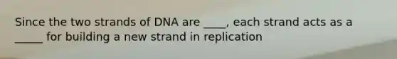 Since the two strands of DNA are ____, each strand acts as a _____ for building a new strand in replication