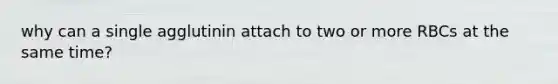 why can a single agglutinin attach to two or more RBCs at the same time?