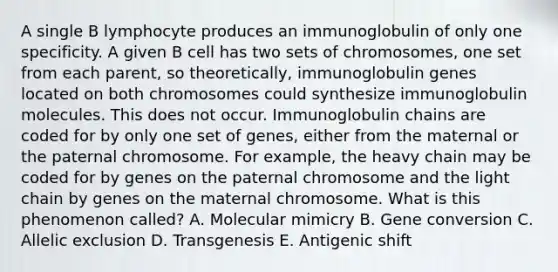 A single B lymphocyte produces an immunoglobulin of only one specificity. A given B cell has two sets of chromosomes, one set from each parent, so theoretically, immunoglobulin genes located on both chromosomes could synthesize immunoglobulin molecules. This does not occur. Immunoglobulin chains are coded for by only one set of genes, either from the maternal or the paternal chromosome. For example, the heavy chain may be coded for by genes on the paternal chromosome and the light chain by genes on the maternal chromosome. What is this phenomenon called? A. Molecular mimicry B. Gene conversion C. Allelic exclusion D. Transgenesis E. Antigenic shift