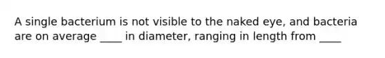 A single bacterium is not visible to the naked eye, and bacteria are on average ____ in diameter, ranging in length from ____