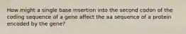 How might a single base insertion into the second codon of the coding sequence of a gene affect the aa sequence of a protein encoded by the gene?