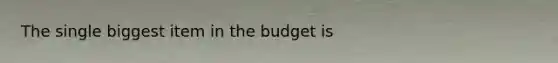 The single biggest item in the budget is