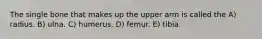 The single bone that makes up the upper arm is called the A) radius. B) ulna. C) humerus. D) femur. E) tibia