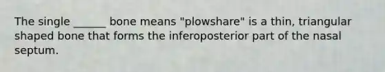 The single ______ bone means "plowshare" is a thin, triangular shaped bone that forms the inferoposterior part of the nasal septum.