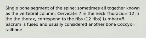 Single bone segment of the spine: sometimes all together known as the vertebral column; Cervical= 7 in the neck Thoracic= 12 in the the thorax, correspond to the ribs (12 ribs) Lumbar=5 Sacrum is fused and usually considered another bone Coccyx= tailbone