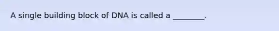 A single building block of DNA is called a ________.