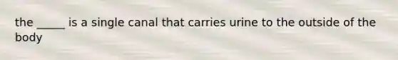 the _____ is a single canal that carries urine to the outside of the body