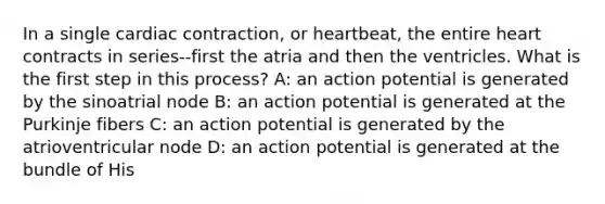 In a single cardiac contraction, or heartbeat, the entire heart contracts in series--first the atria and then the ventricles. What is the first step in this process? A: an action potential is generated by the sinoatrial node B: an action potential is generated at the Purkinje fibers C: an action potential is generated by the atrioventricular node D: an action potential is generated at the bundle of His