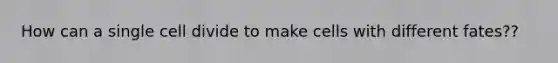 How can a single cell divide to make cells with different fates??